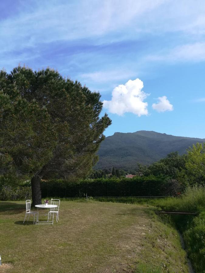 Appartamento Le Quatorze Laroque-des-Albères Esterno foto
