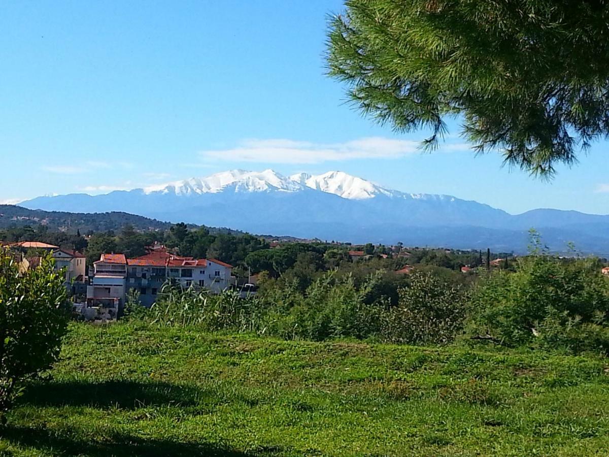 Appartamento Le Quatorze Laroque-des-Albères Esterno foto